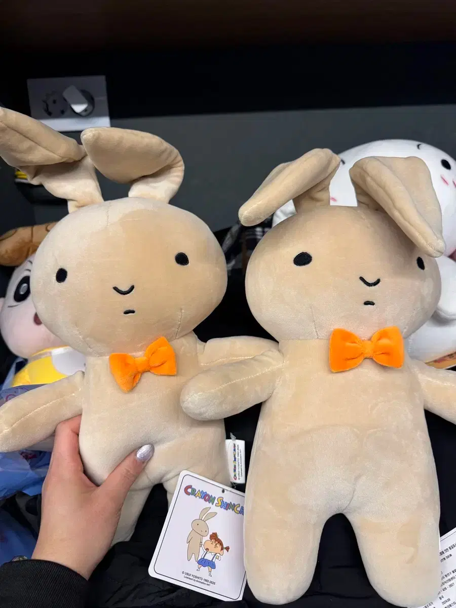 332233345_{cnt}_1746553050_w{